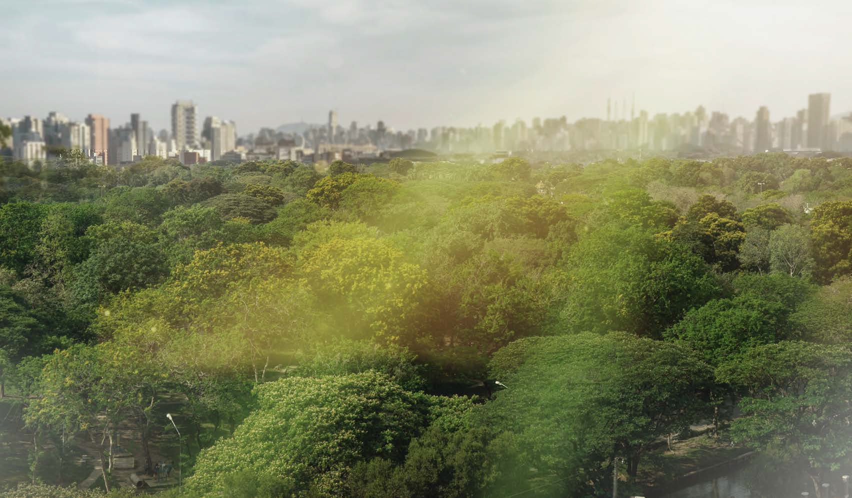 Parque-visto-de-sua-janela