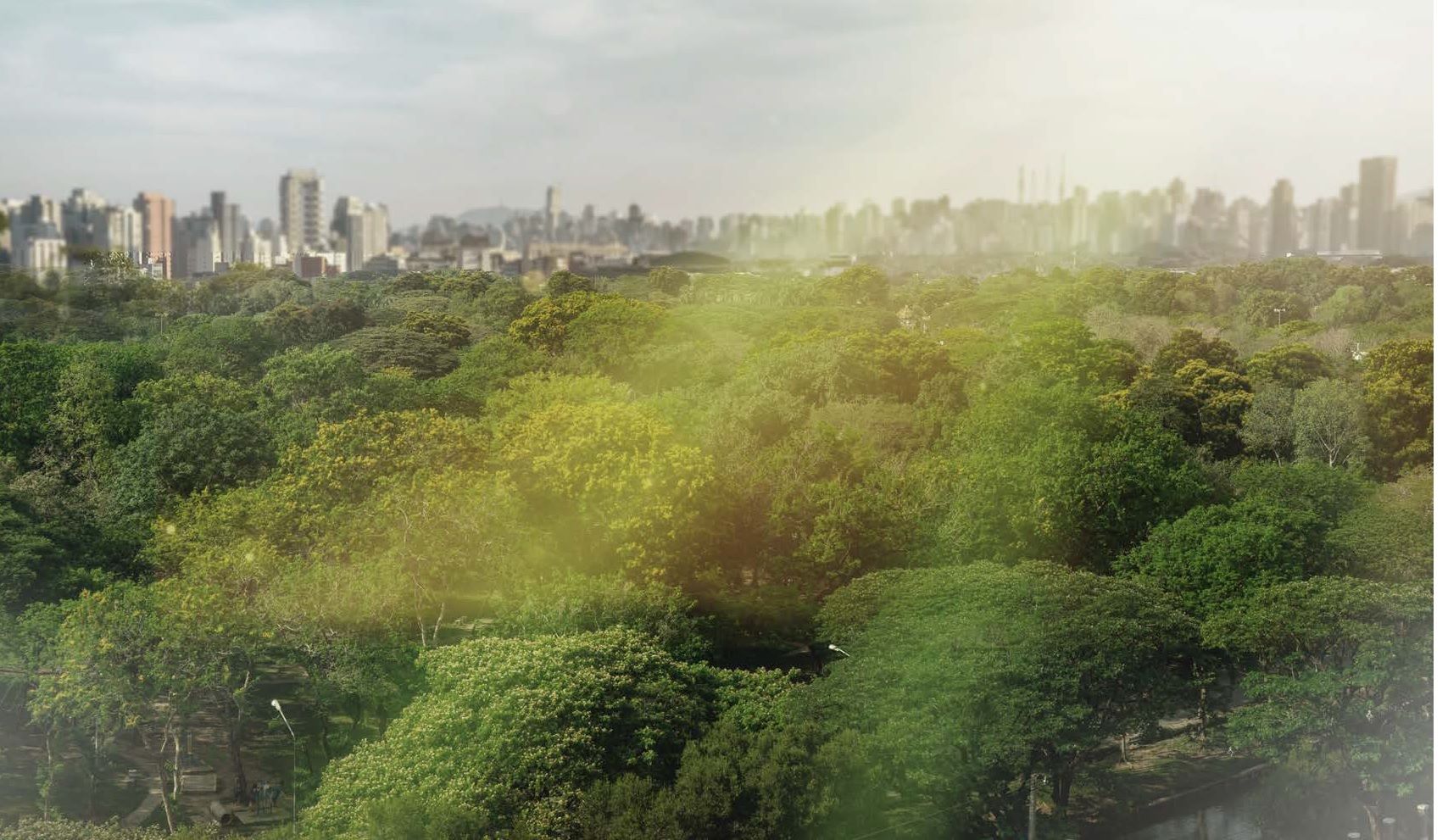 Vista-Livre-Parque-Ibirapuera